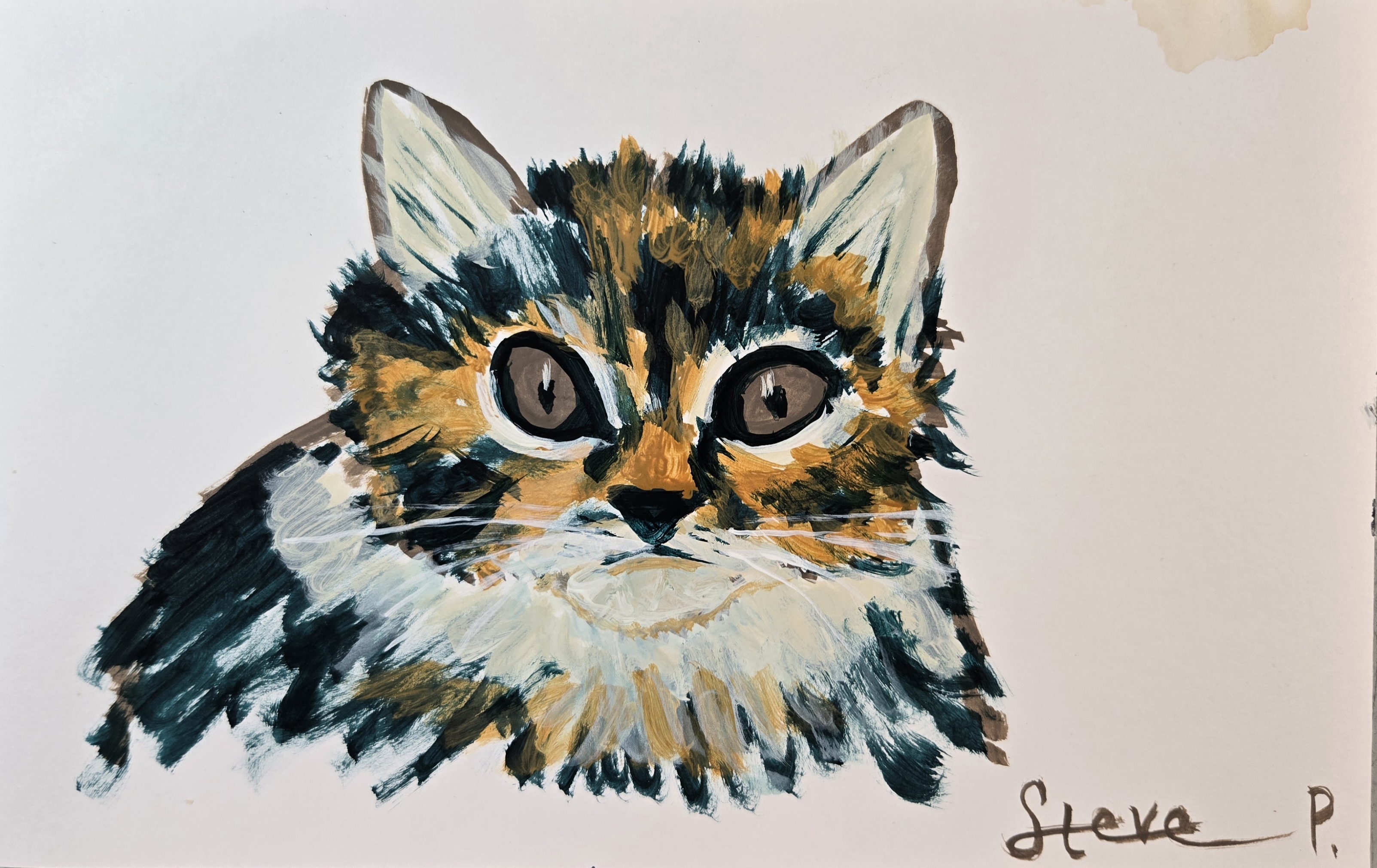 Cat painting by Steve Peterson